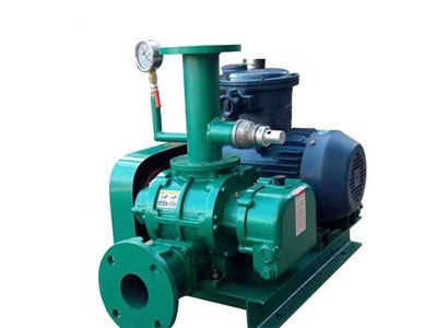 沼氣羅茨風(fēng)機(jī)圖片1